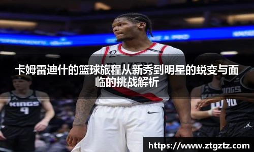 jrs直播体育吧